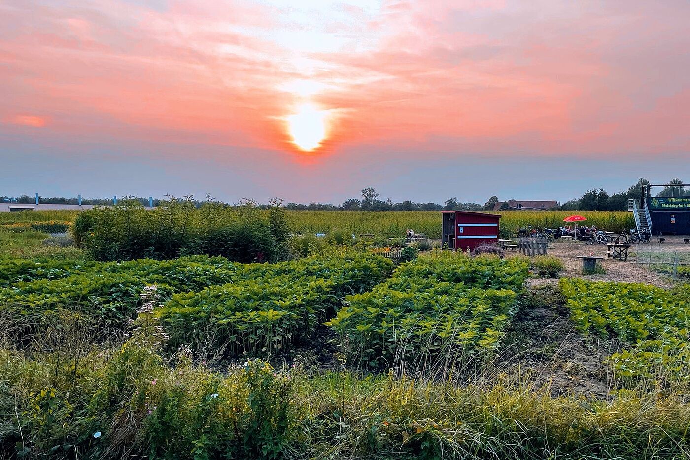 Sonnenuntergang